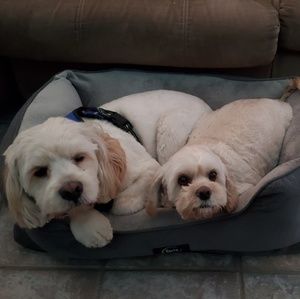 Meet your Posher, Raul